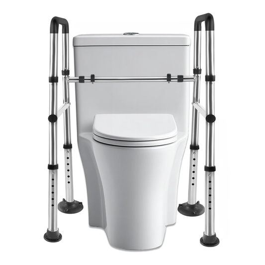 SafeRise Toilet Rail