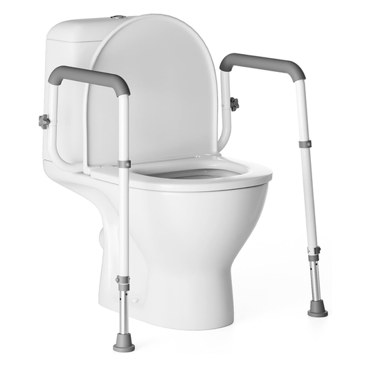 SafeRise Toilet Rail