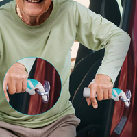 CarPal MobilityHandle